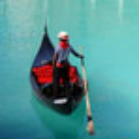 The Willow Tree Pub and Grill